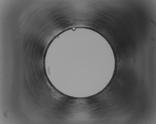 X0000103971181200810101301