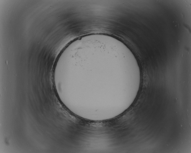 X0000103971182200810101301