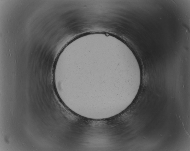 X0000103971183200810101301