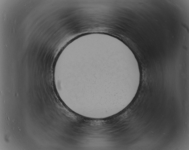 X0000103971184200810101301