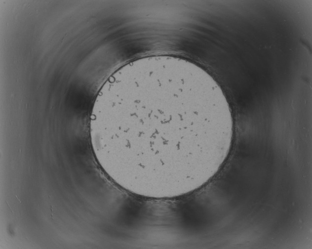 X0000103971185200810101301