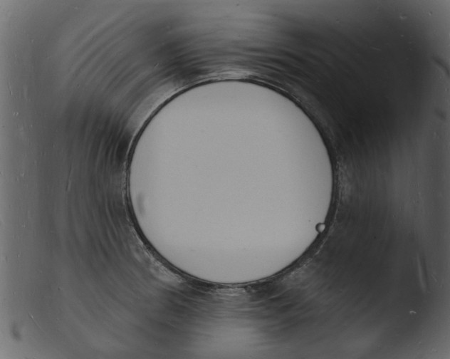 X0000103971186200810101301