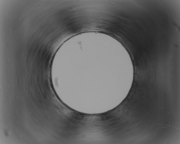 X0000103971187200810101301