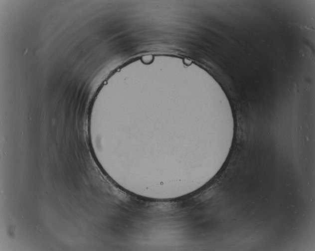 X0000103971188200810101301