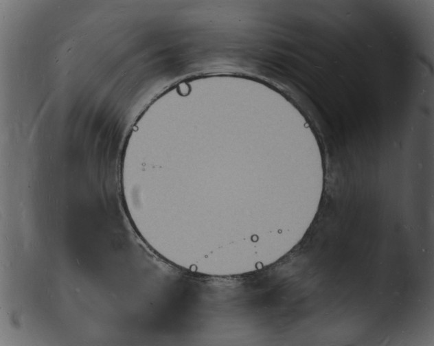 X0000103971191200810101301