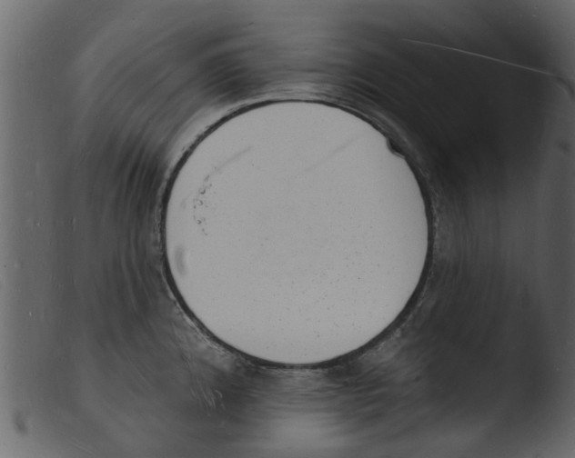 X0000103971192200810101301