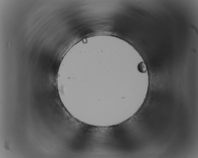 X0000103971193200810101301