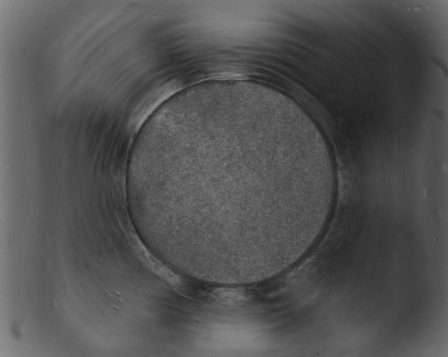 X0000103971194200810101301