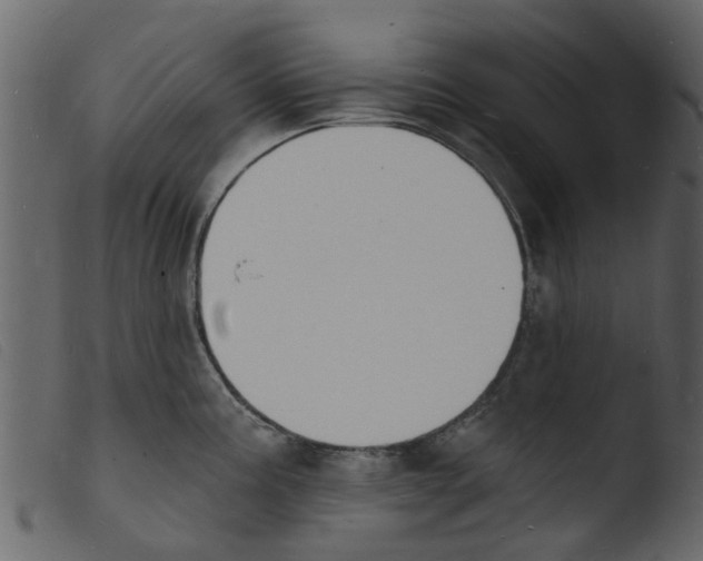 X0000103971195200810101301