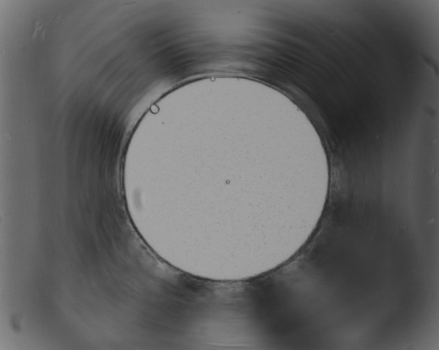 X0000103971196200810101301