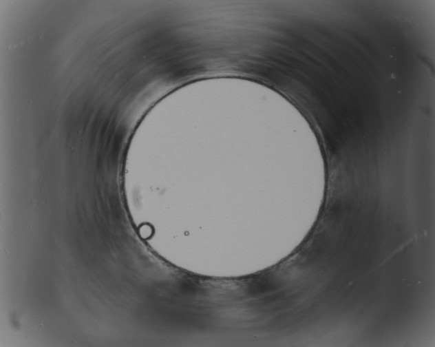 X0000103971197200810101301