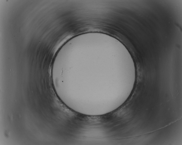 X0000103971198200810101301