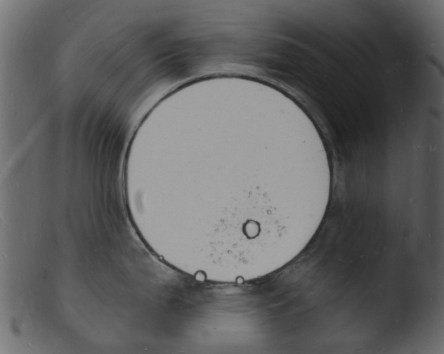 X0000103971199200810101301