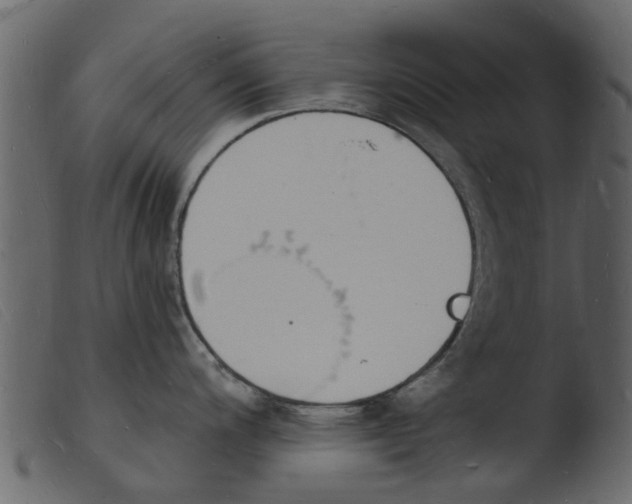 X0000103971200200810101301