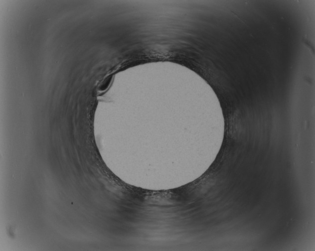 X0000103971201200810101300