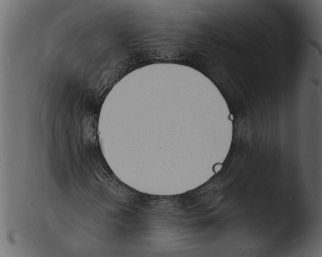 X0000103971202200810101300