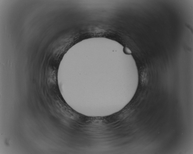 X0000103971204200810101300