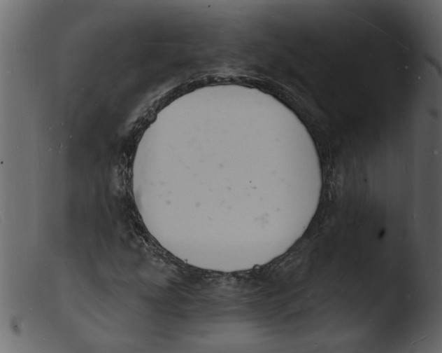 X0000103971207200810101300