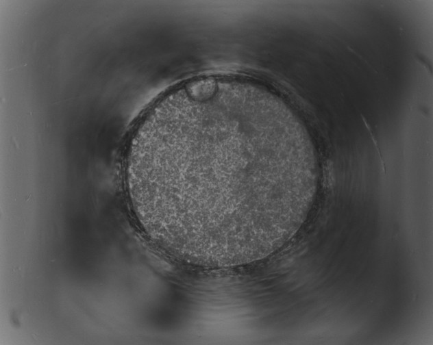 X0000103971208200810101300