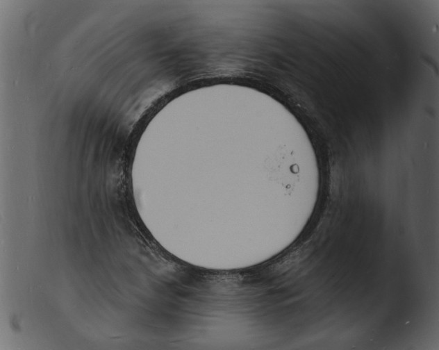 X0000103971210200810101300