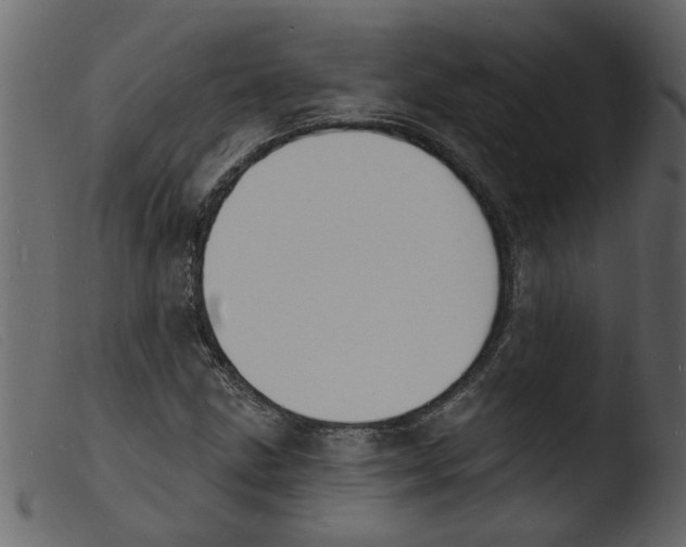 X0000103971211200810101300