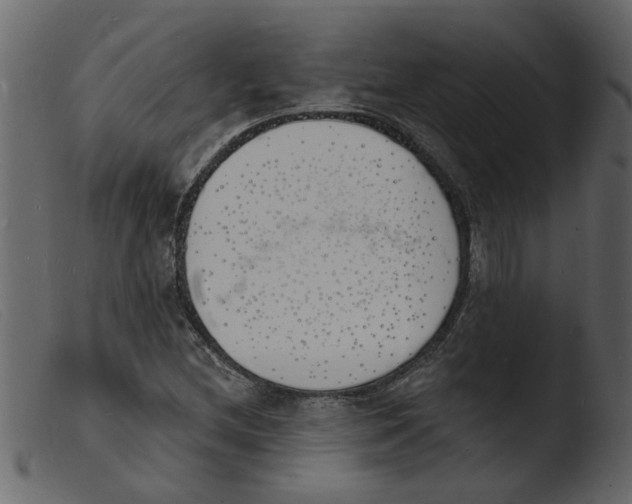 X0000103971212200810101300