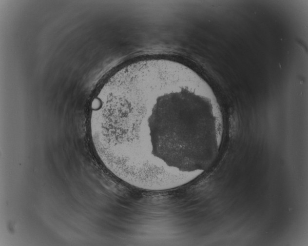 X0000103971213200810101300