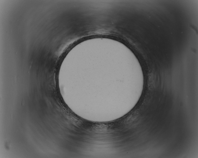 X0000103971214200810101300