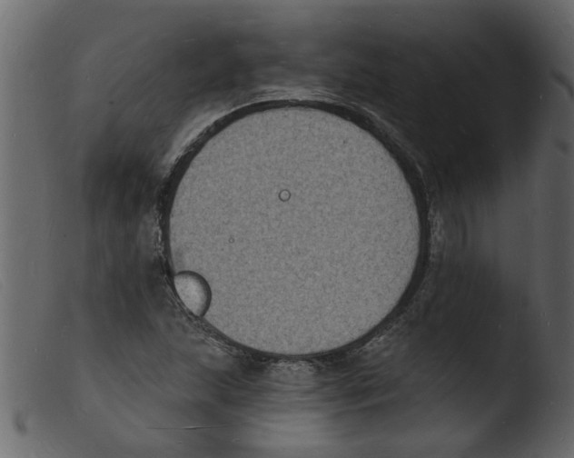 X0000103971215200810101300