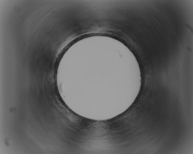 X0000103971216200810101300