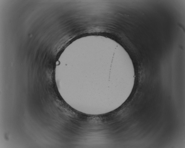 X0000103971217200810101300