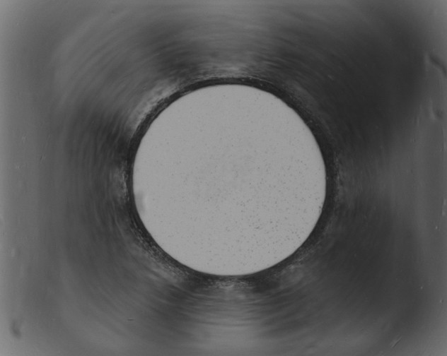 X0000103971218200810101300