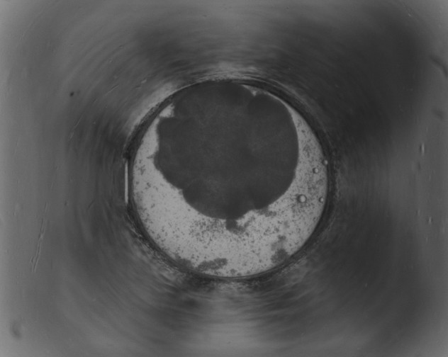 X0000103971219200810101300