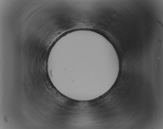 X0000103971220200810101300