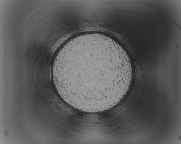 X0000103971221200810101300