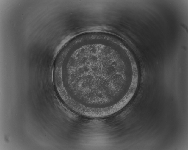 X0000103971224200810101300