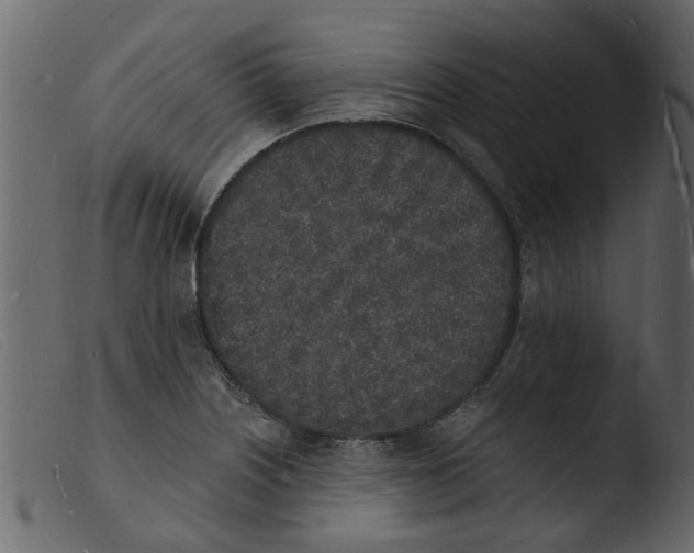 X0000103971226200810101300