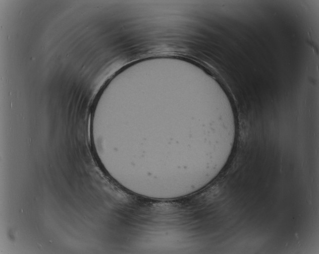 X0000103971227200810101300