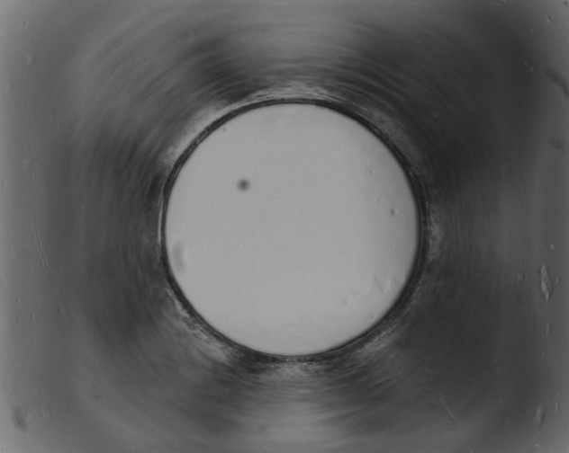 X0000103971228200810101300