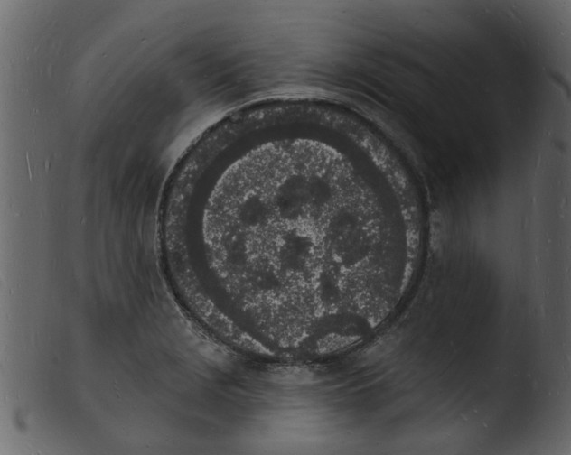 X0000103971229200810101300