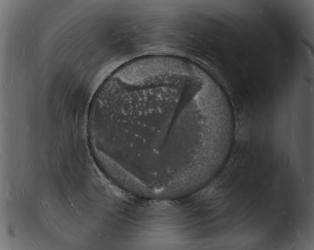 X0000103971231200810101300