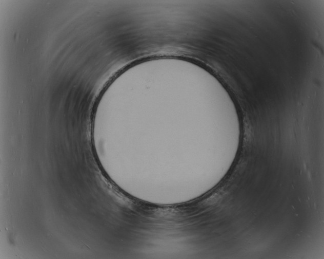 X0000103971232200810101300