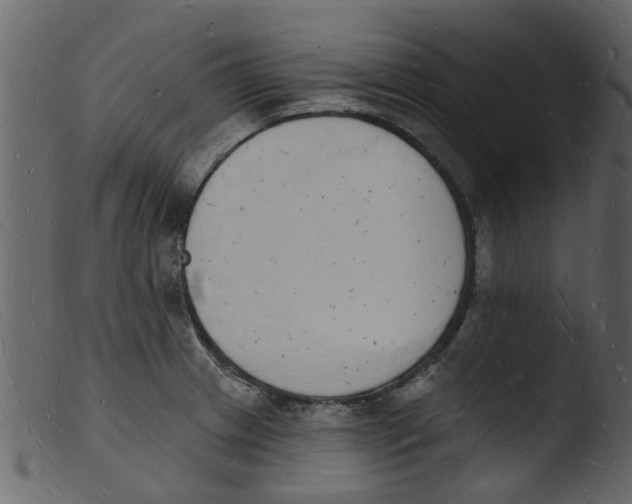 X0000103971233200810101300