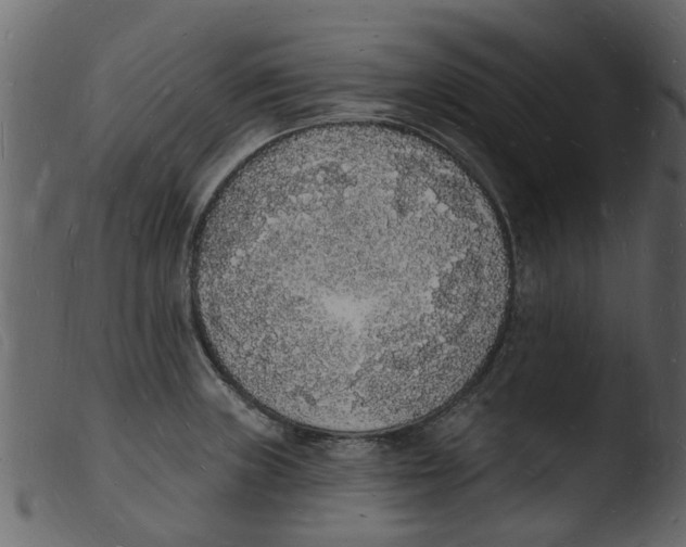 X0000103971235200810101300