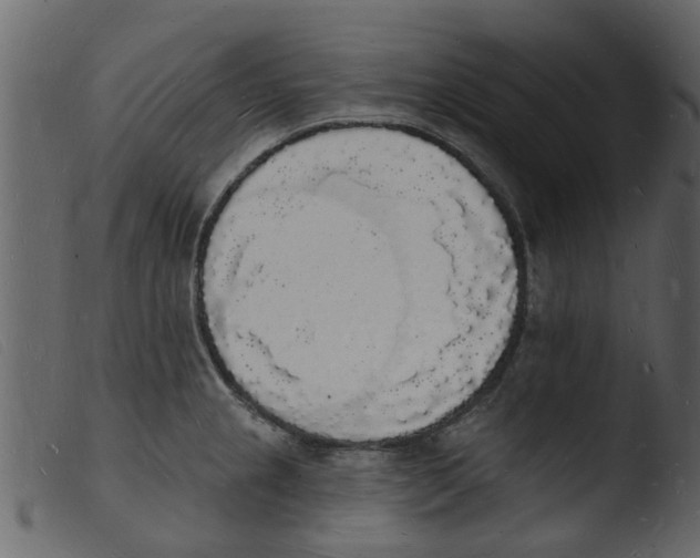 X0000103971237200810101300