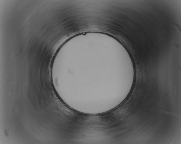 X0000103971238200810101300