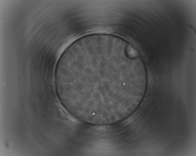 X0000103971240200810101300