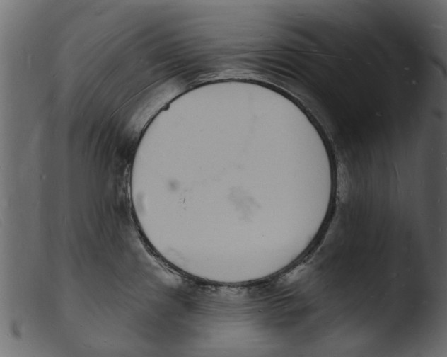 X0000103971241200810101300