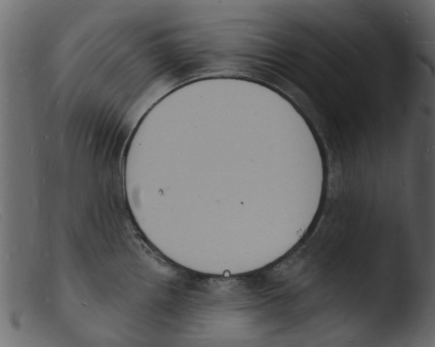 X0000103971242200810101300