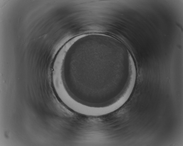 X0000103971243200810101300